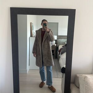 Aritzia Teddy Coat